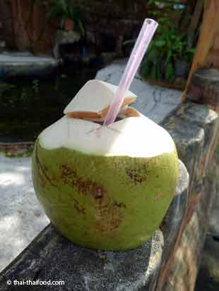 Kokosnuss zum Trinken