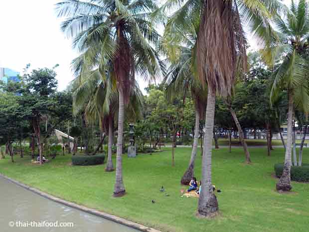 Entspannen auf der Wiese im Chatuchak Park Bangkok