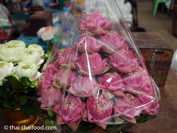Pinkfarbenes Lotusblütengesteck auf dem Blumenmarkt Bangkok
