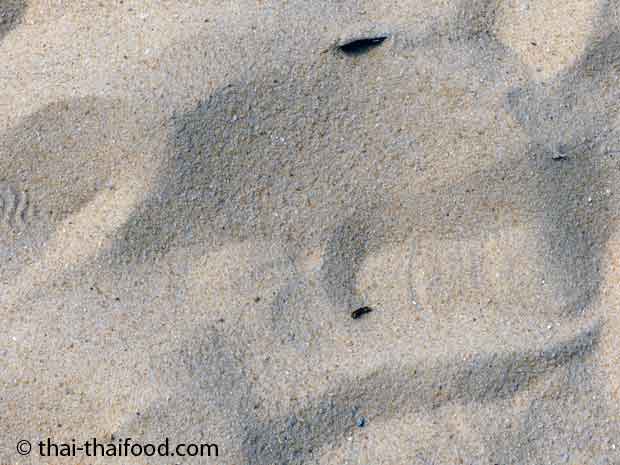 Der Sand am Karon Strand