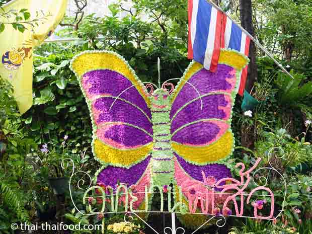 Bangkok Butterfly Garden