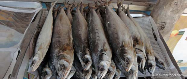 Thailändischer Stockfisch