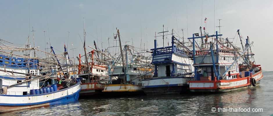Fischerboote im Fischerhafen Ban Phe