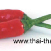 (c) Thai-thaifood.de