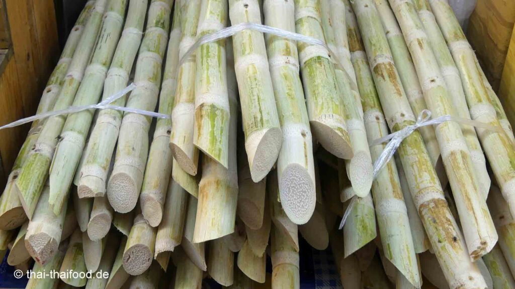 Geschnittene und geschälte Zuckerrohrstangen für Herstellung von Zuckerrohrsaft