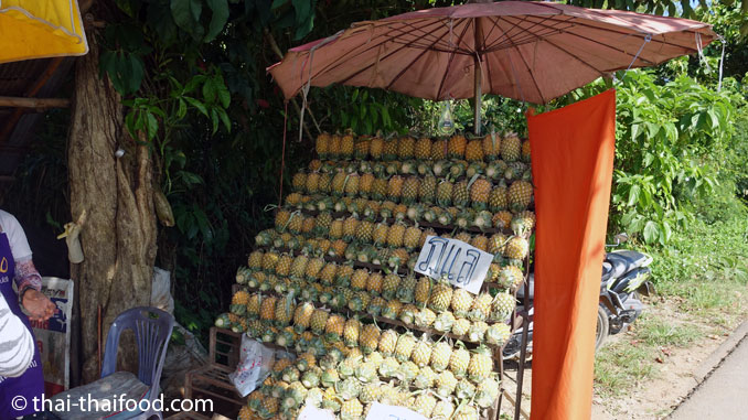 Baby-Ananas Verkaufsstand Nord Thailand