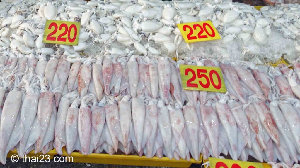 Frischer Tintenfisch vom Fischmarkt am Fischereihafen Pattaya