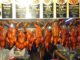 Gebratene Ente - Pet Yang (เป็ดย่าง)
