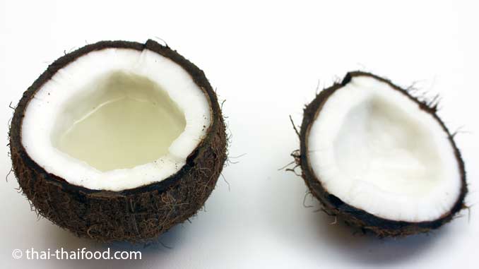 Kokosnüsse auf einer Kokospalme
