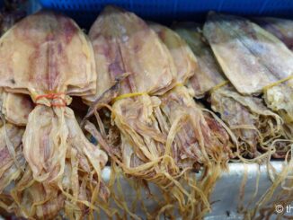 Getrockneter Tintenfisch Thailand