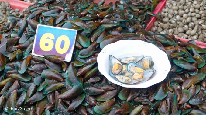 neuseeland-muscheln-auf-thai-markt Grüne Miesmuscheln
