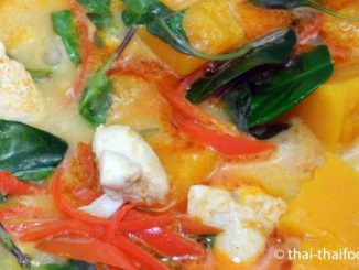 Thai Kürbis Curry mit Huhn