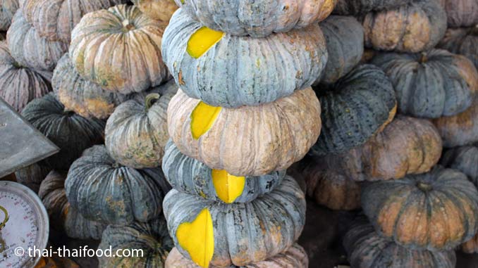 Thai Kürbis