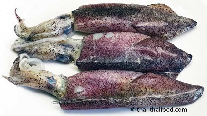 Tintenfische essen Thailand