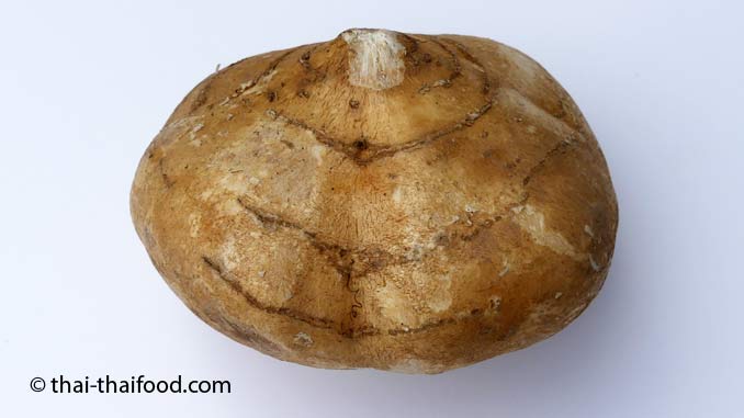 Yambohne (Man Kaeo) มันแกว Jicama thaithaifood.de